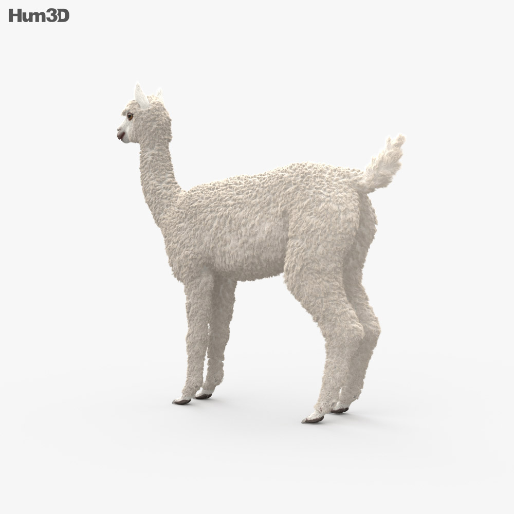 Alpaca Modelo 3D