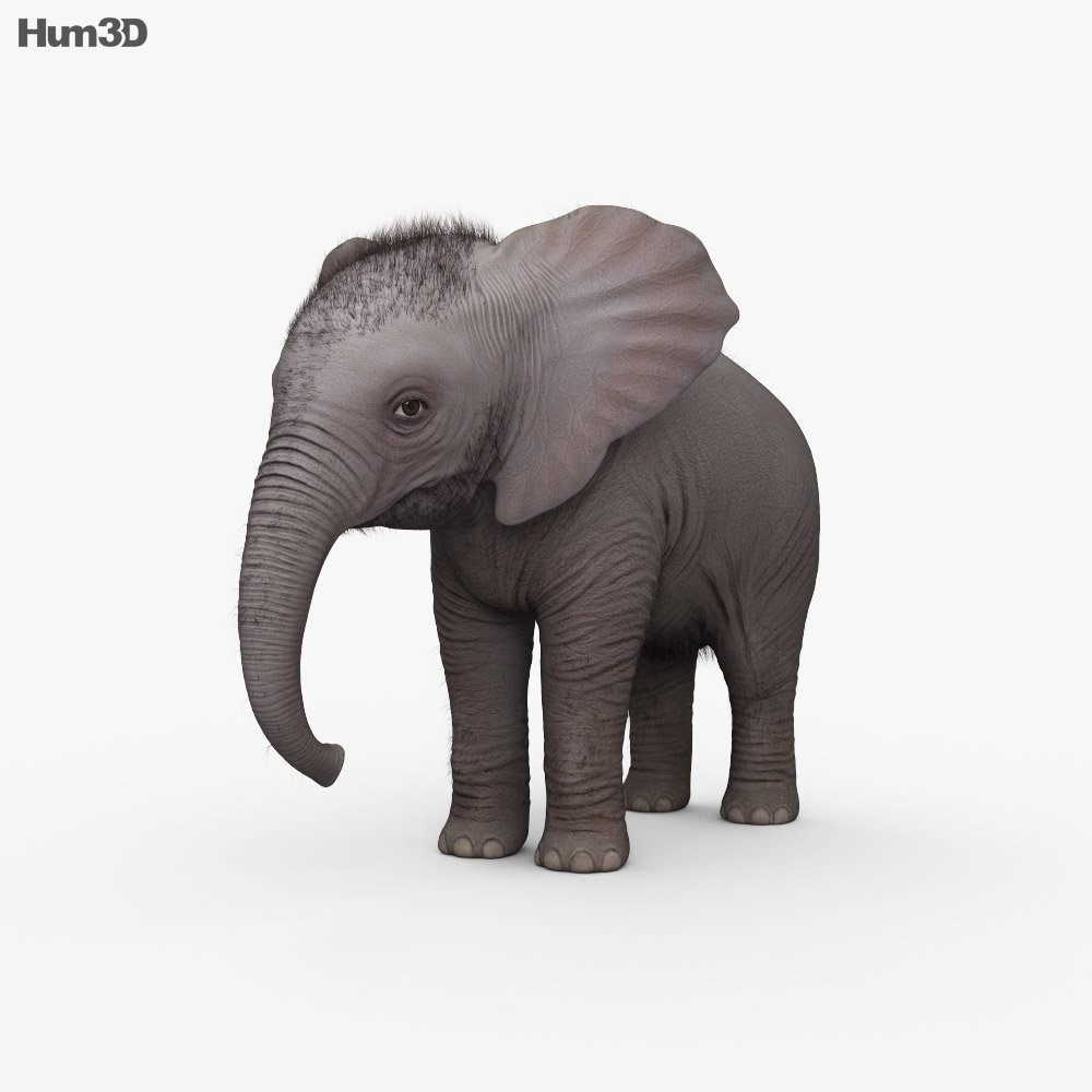 ELEPHANT AND BABIES 3D ANIMAL PICTURE 400mm X 300mm NEW 