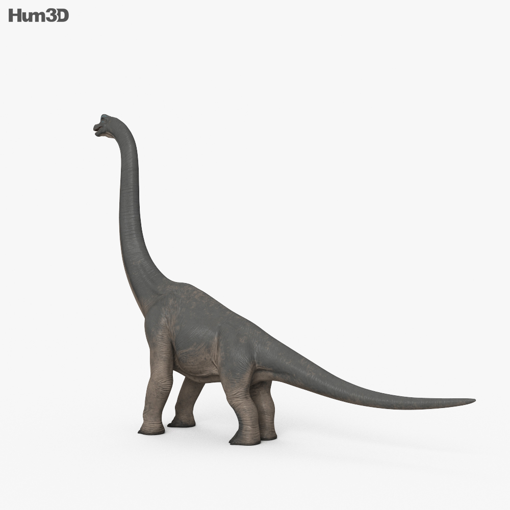 Brachiosaurus HD 3d model