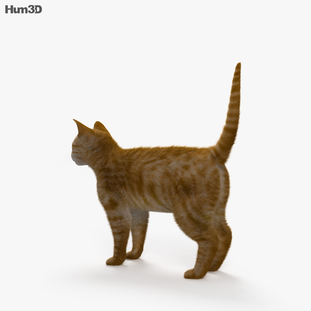 Rote Katze 3D-Modell