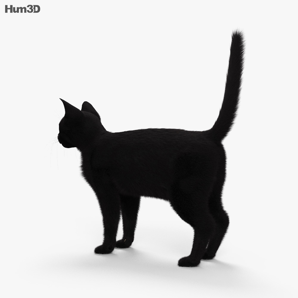 黒猫 3Dモデル