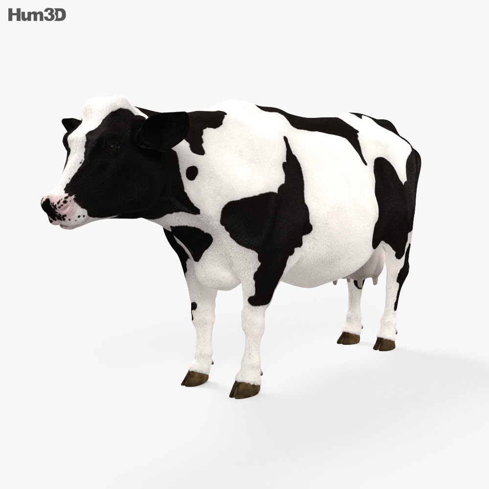 Cow Hd 3d Model Animals On Hum3d