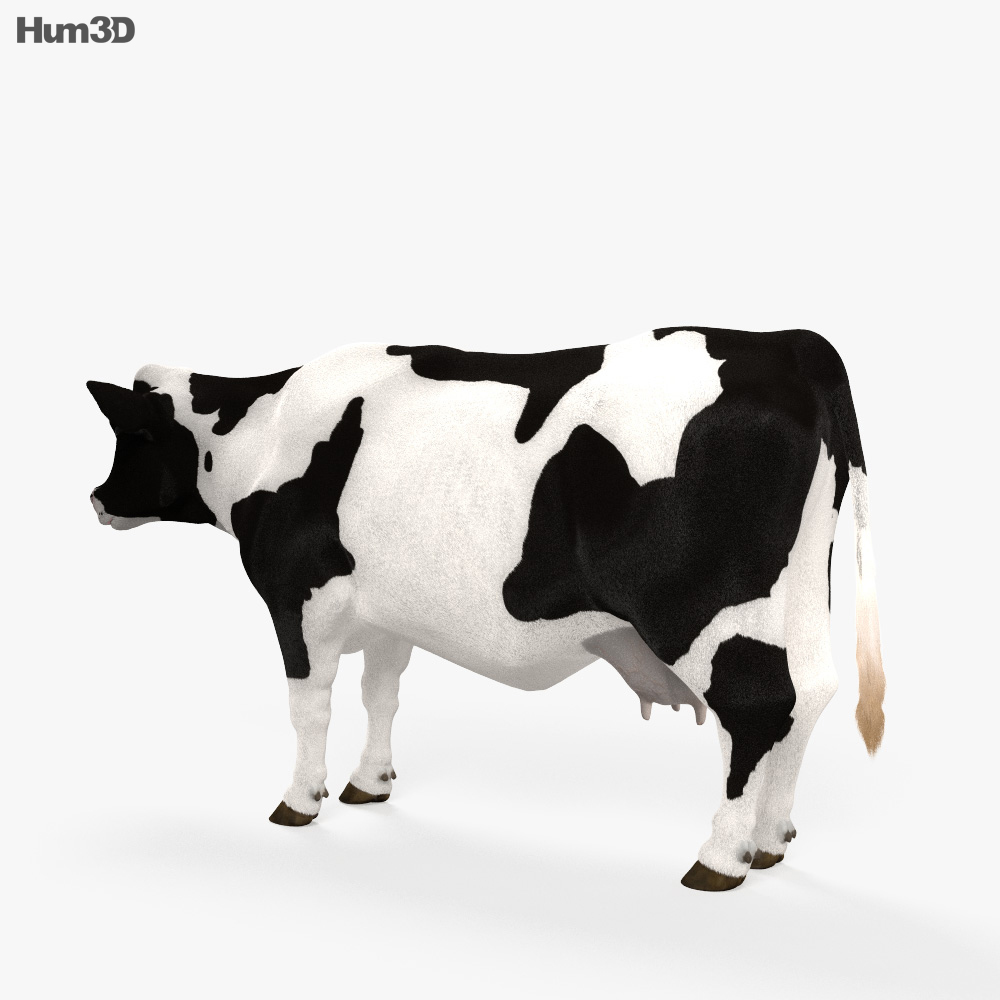 Vache Modèle 3d