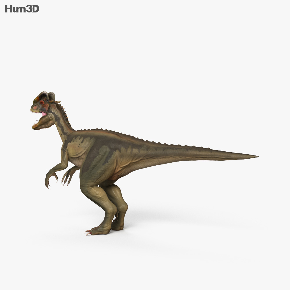 Дилофозавр 3D модель