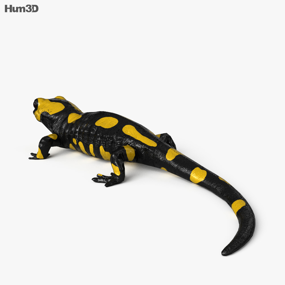 Salamandra Modelo 3D