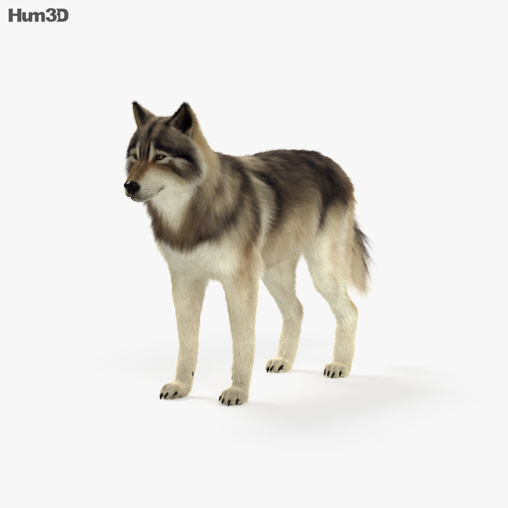 NEW WOLF ON HILL 3D MOVING PICTURE 400mm X 300mm