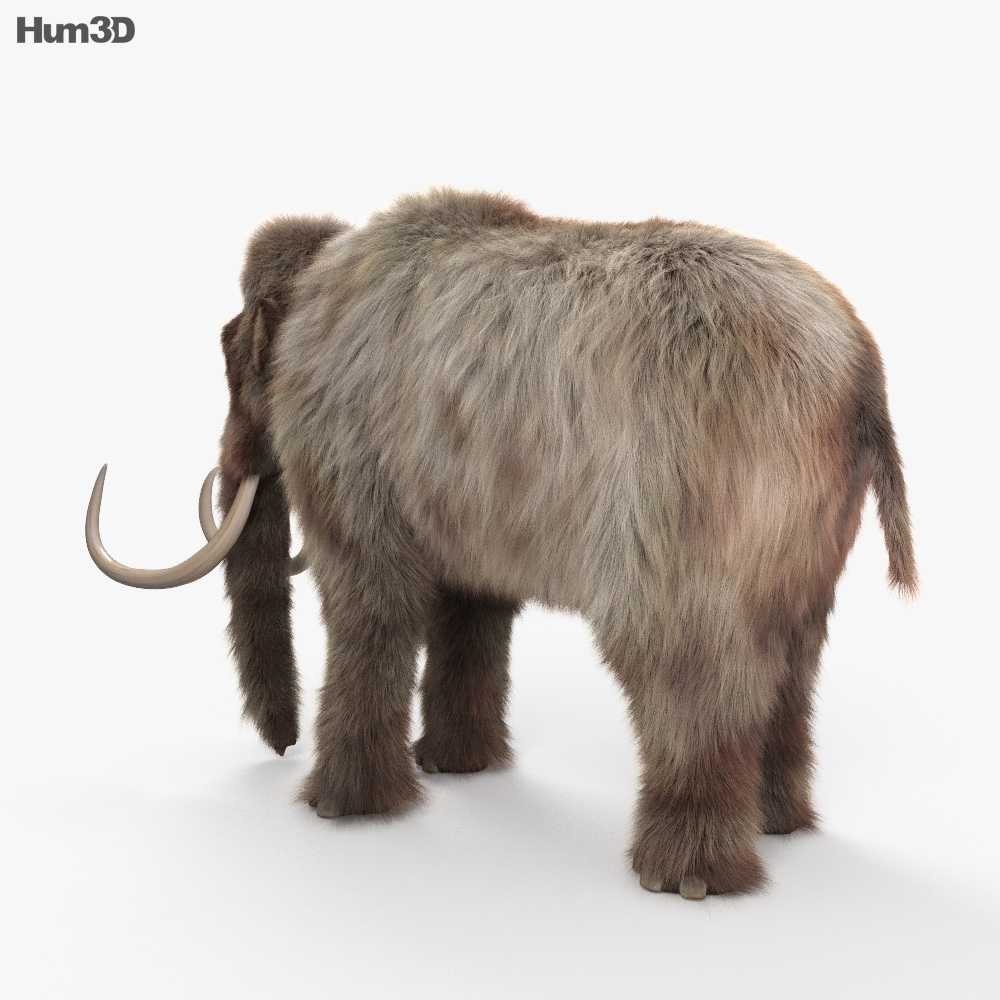 Mammoth HD 3d model