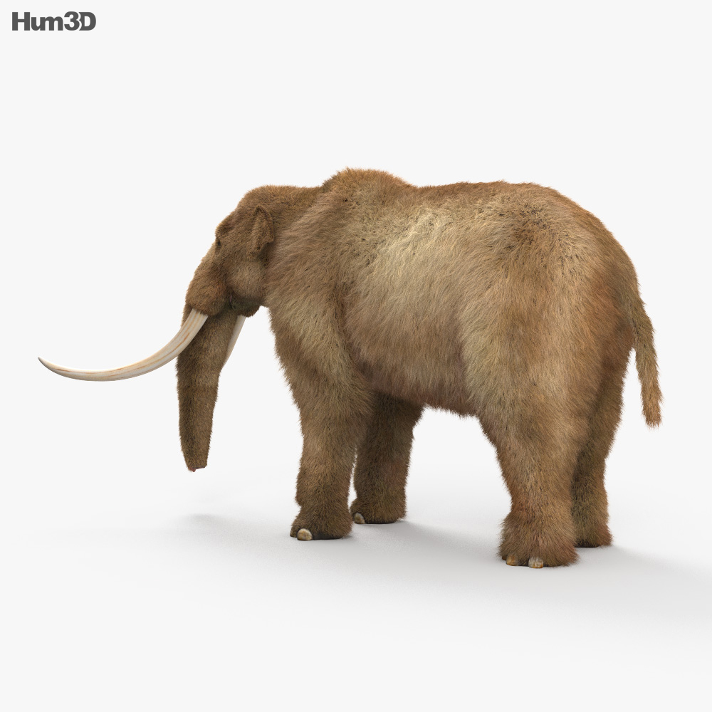 Mastodon HD 3d model