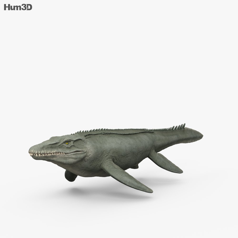 Mosasaurus HD 3d model