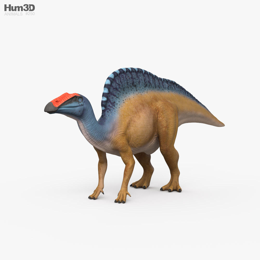 Ouranosaurus 3D-Modell