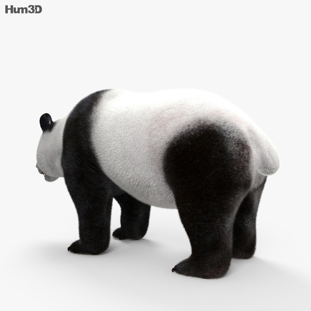 Großer Panda 3D-Modell