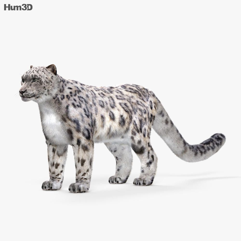 Snow Leopard HD 3d model