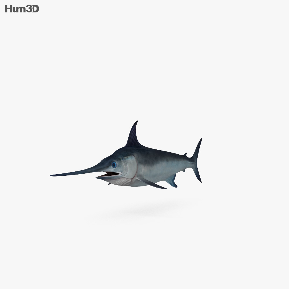 Риба-меч 3D модель