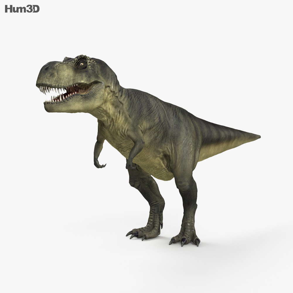 Tyrannosaurus Rex 3d model