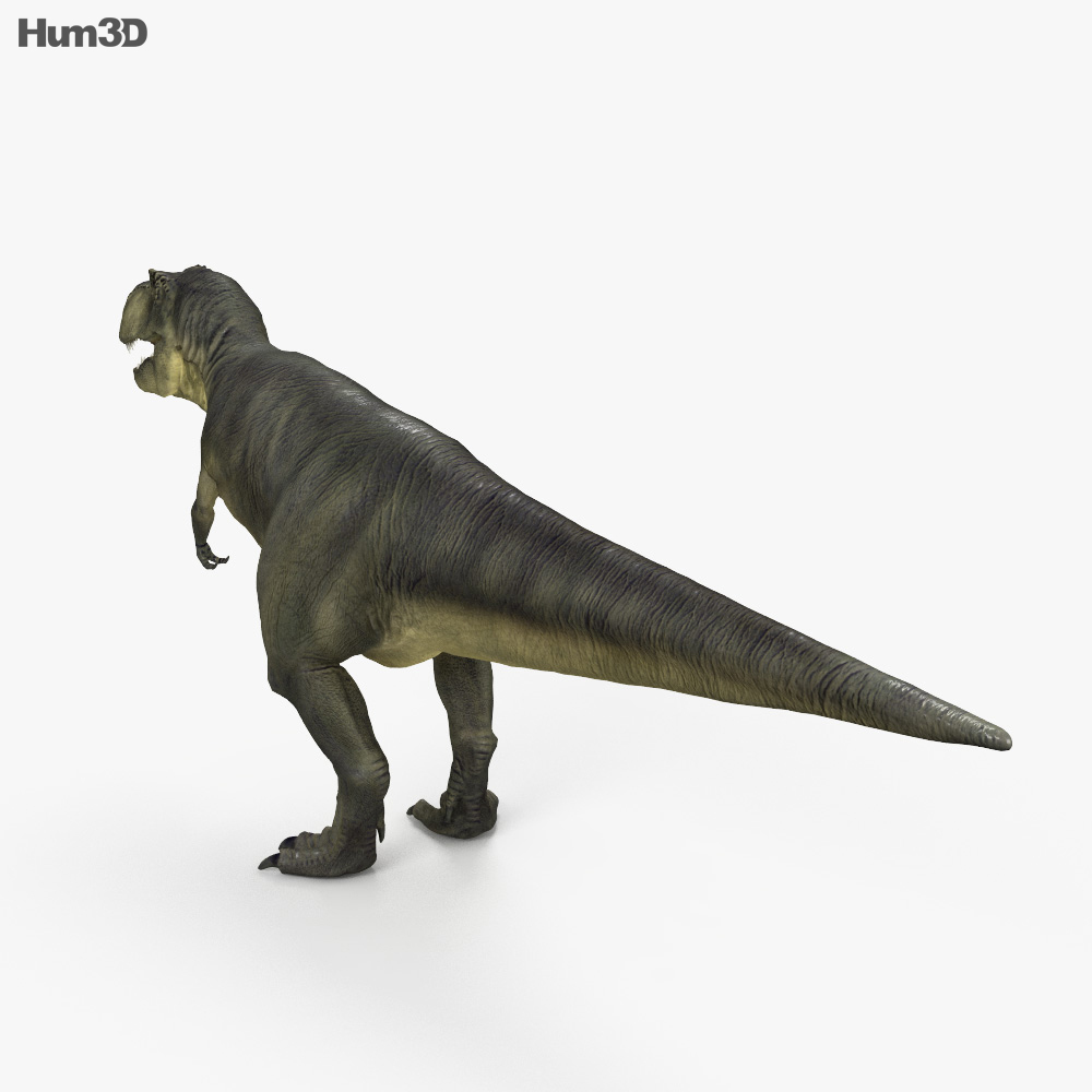 ティラノサウルス 3Dモデル