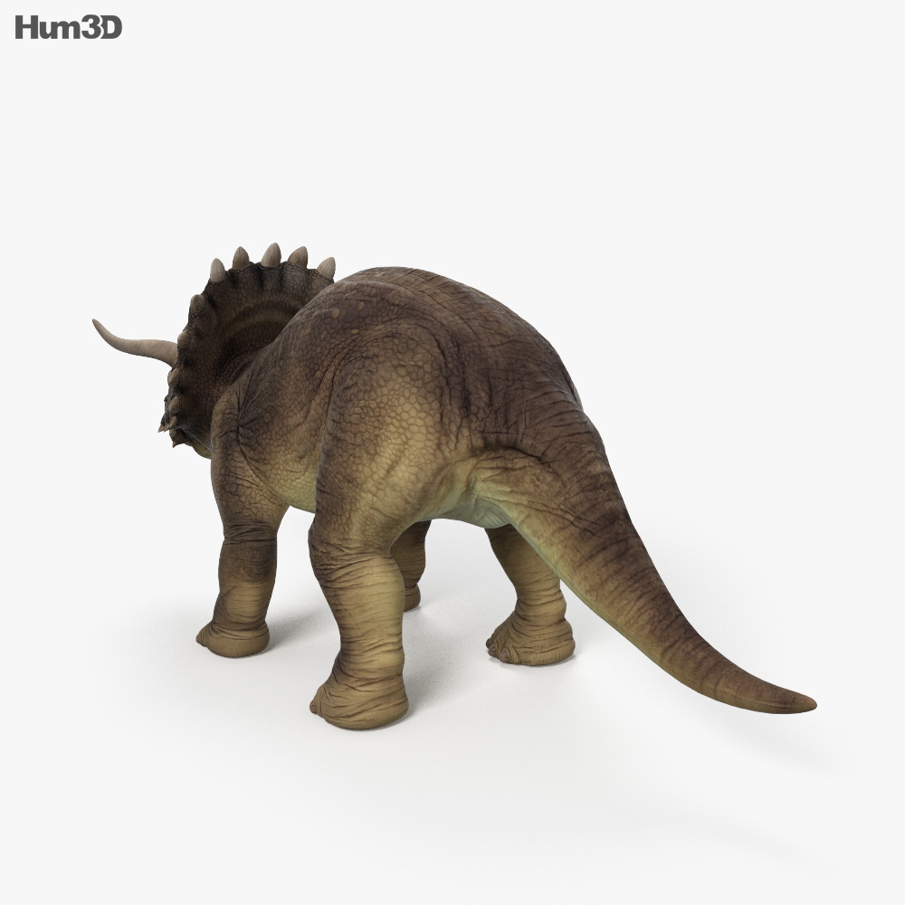 triceratops view in 3d