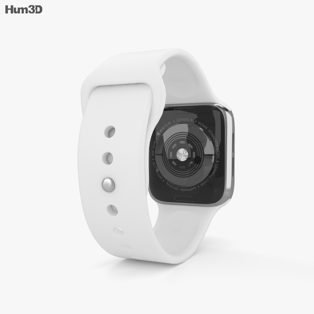 Apple Watch Series 5 40mm Stainless Steel Case with Sport ...