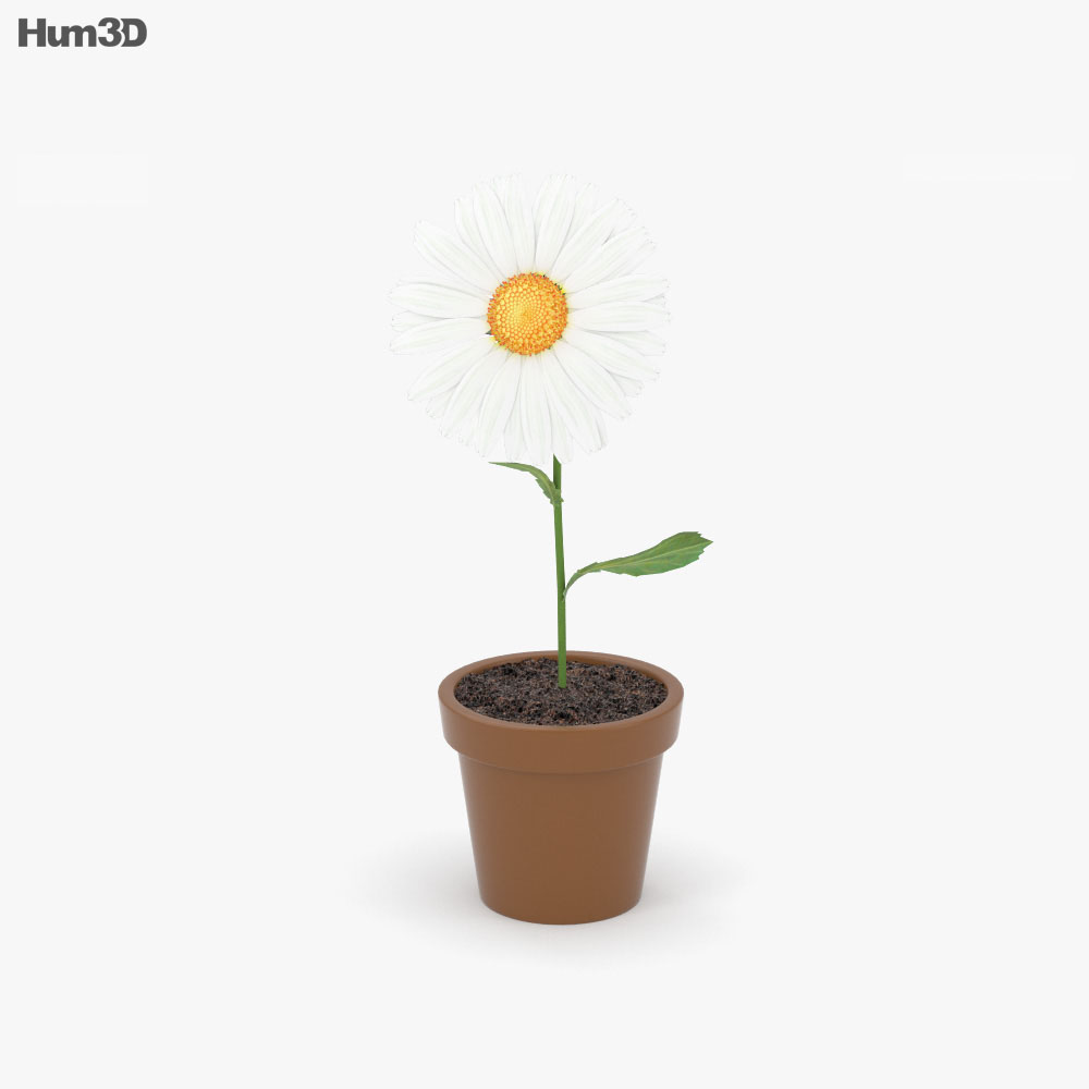  Flower pot  3D  model  Plants on Hum3D