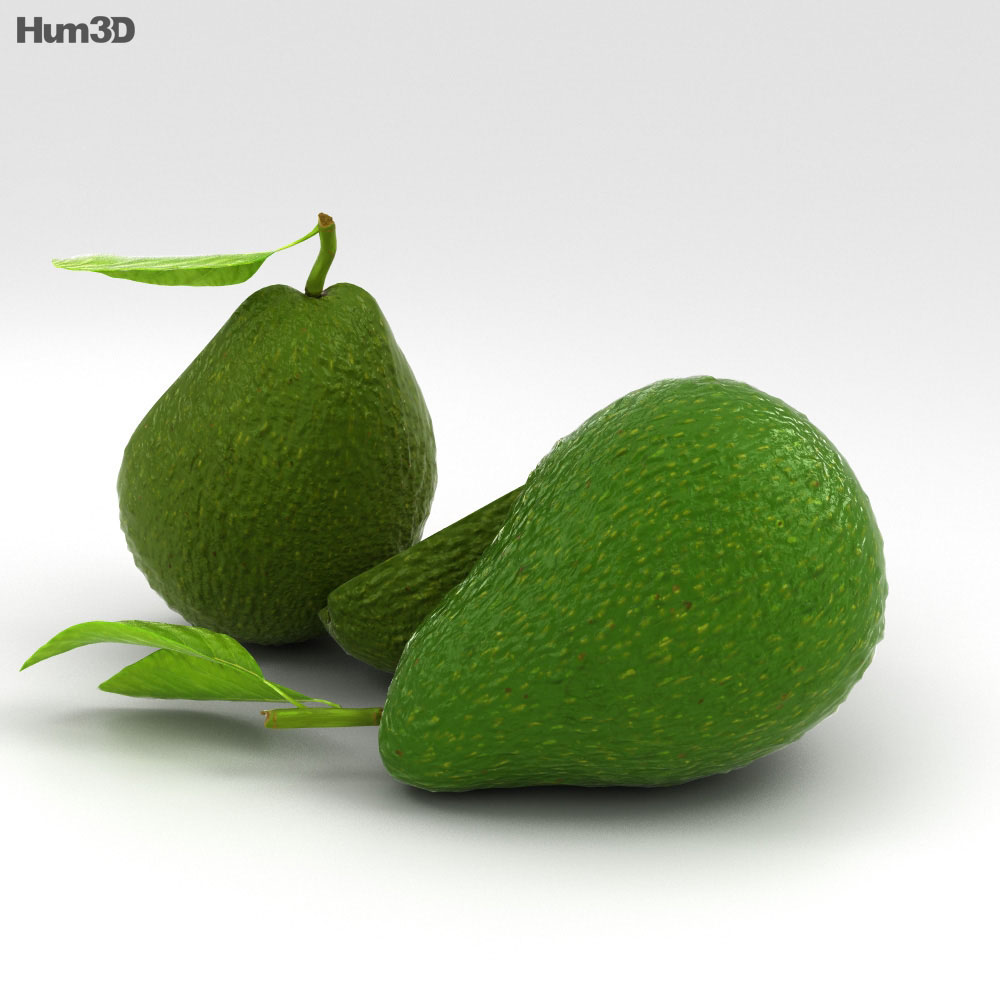Unity 3d Models Format