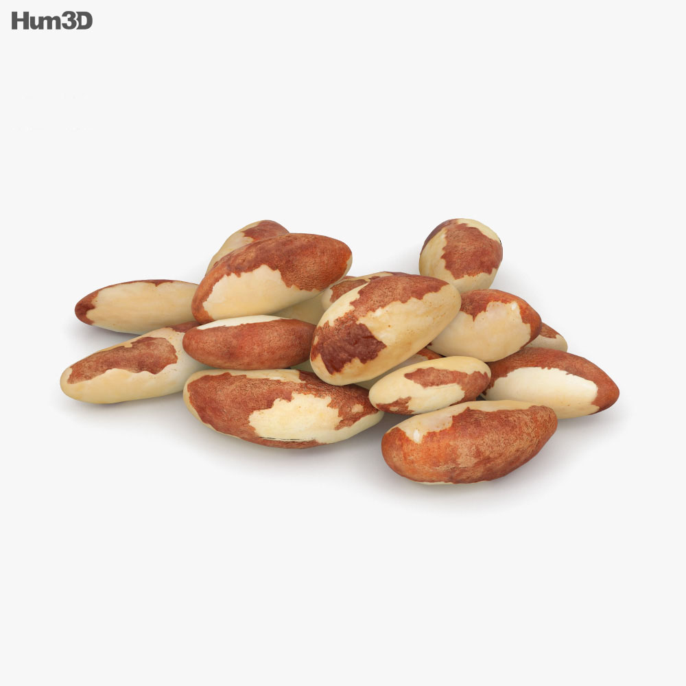 Brazil Nuts 3d model