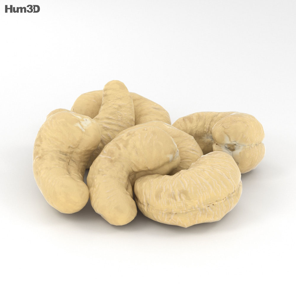 Cashew 3D model Food on Hum3D