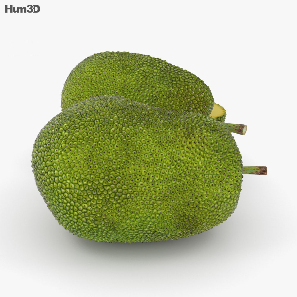 菠蘿蜜 3D模型
