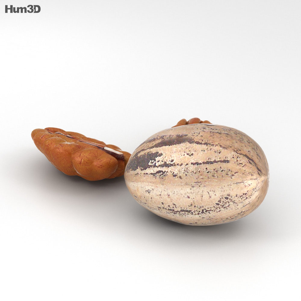 Pecan Nuts 3d model