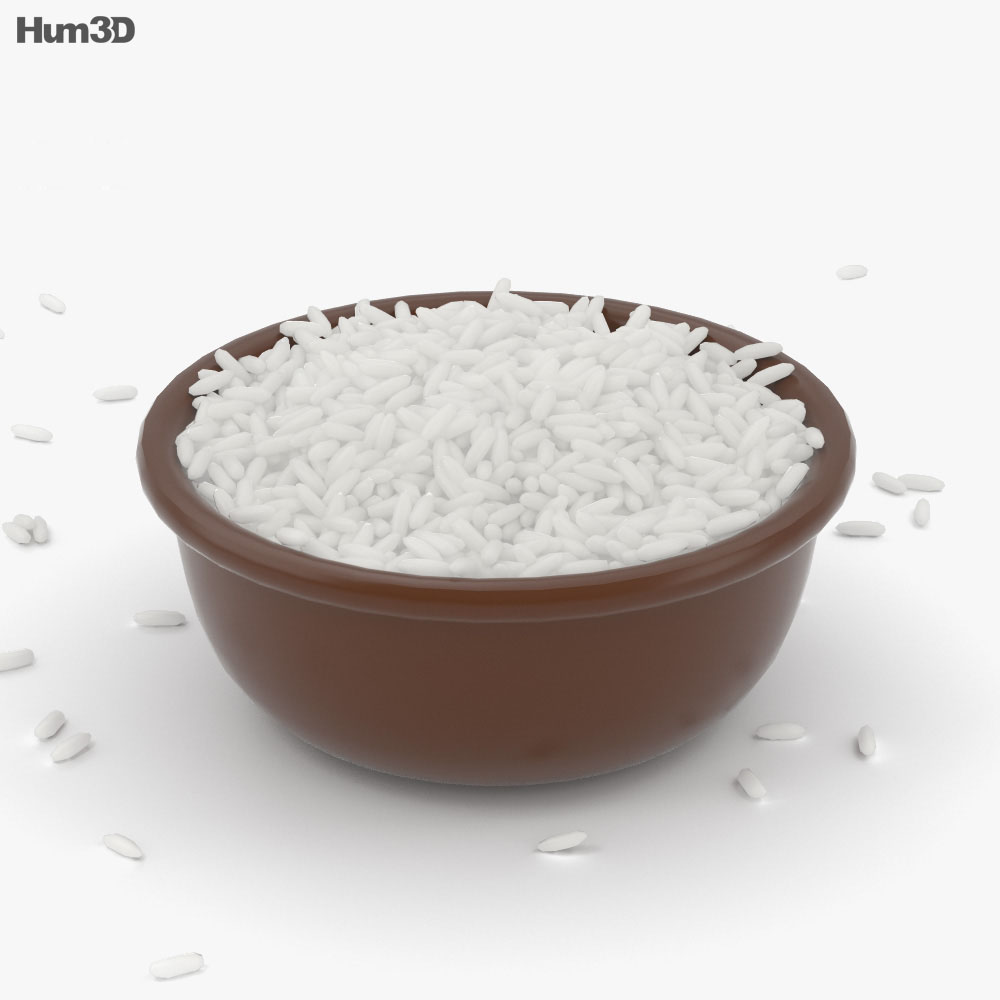 쌀 3D 모델 