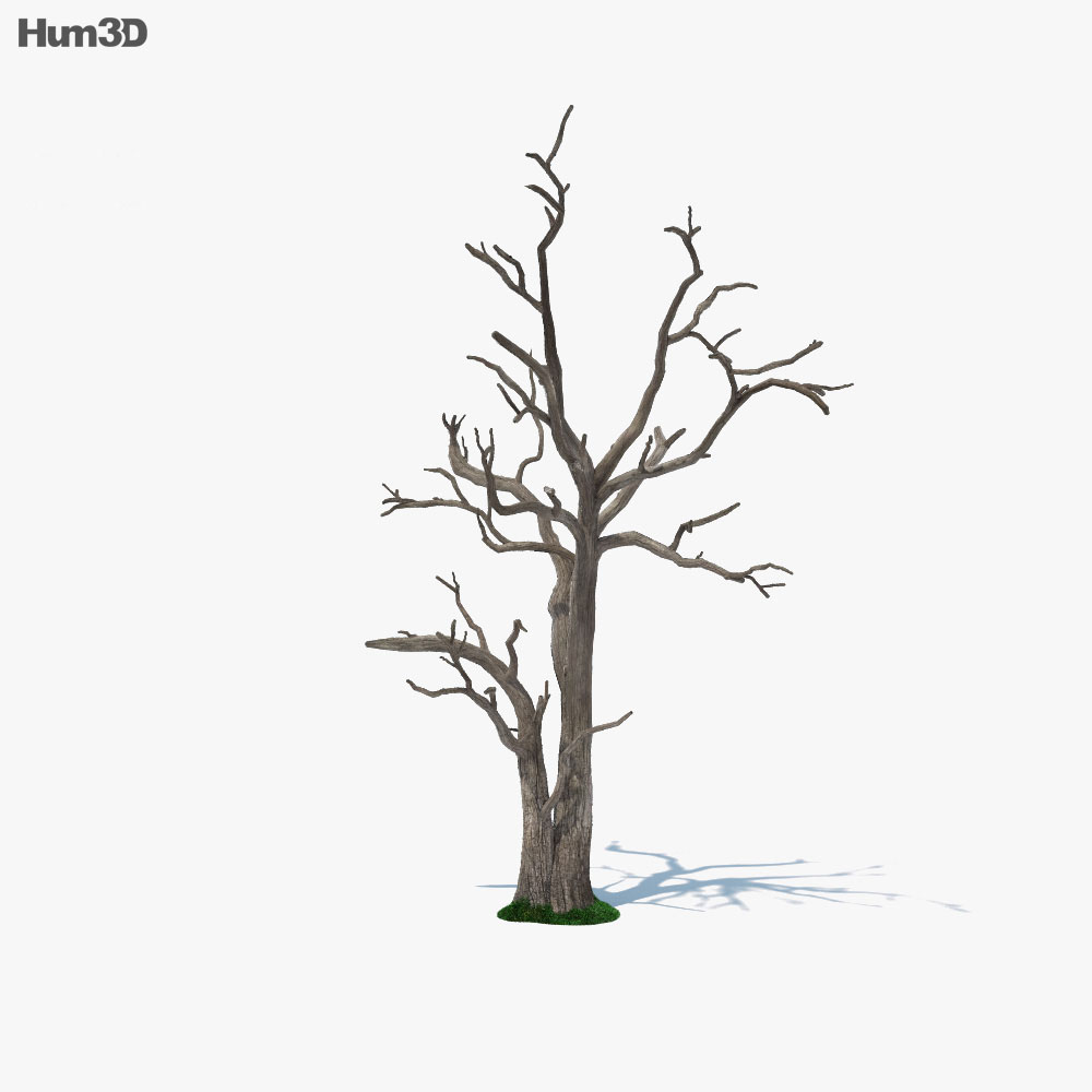 Dead Tree 3d model
