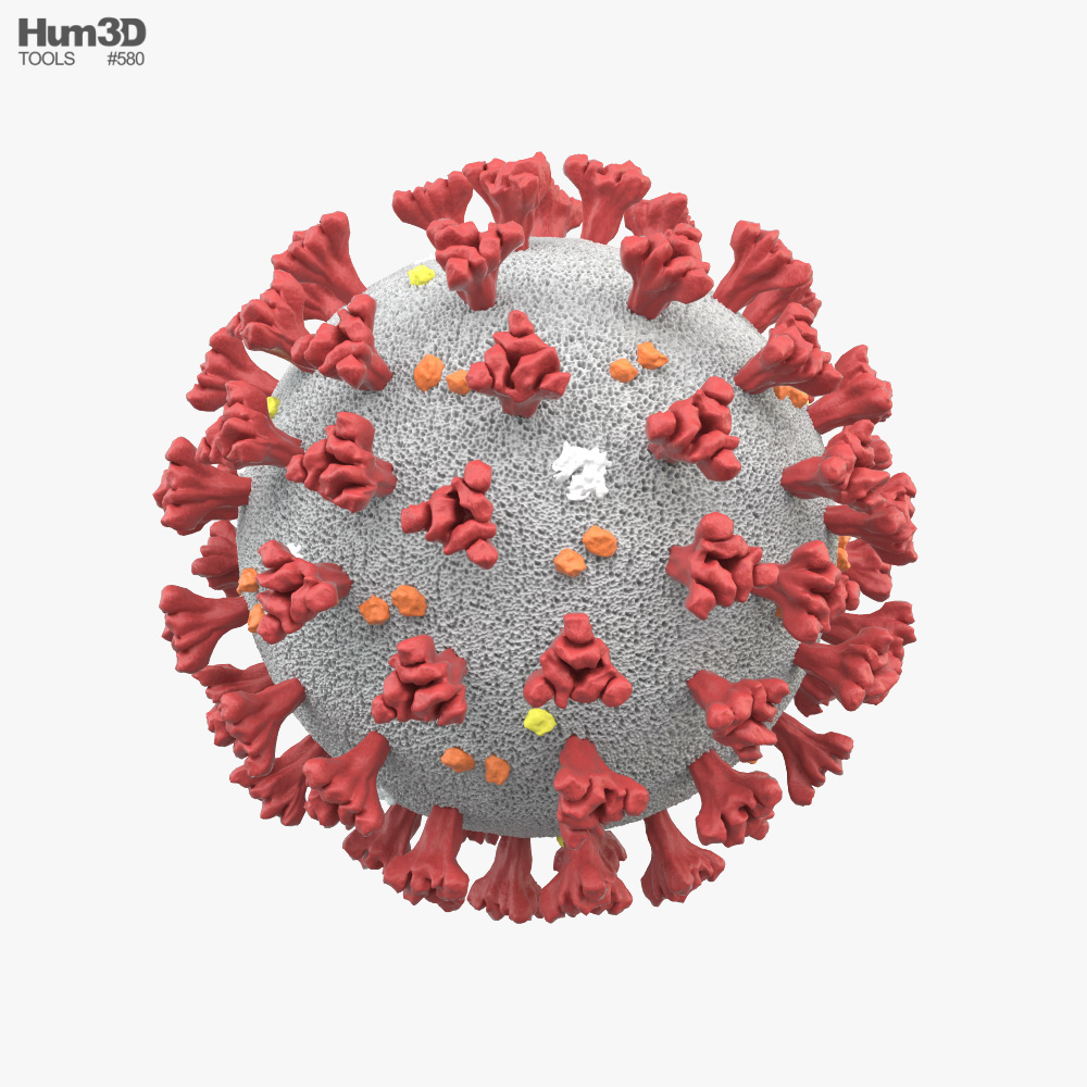 Coronavirus 3d Model Download Free