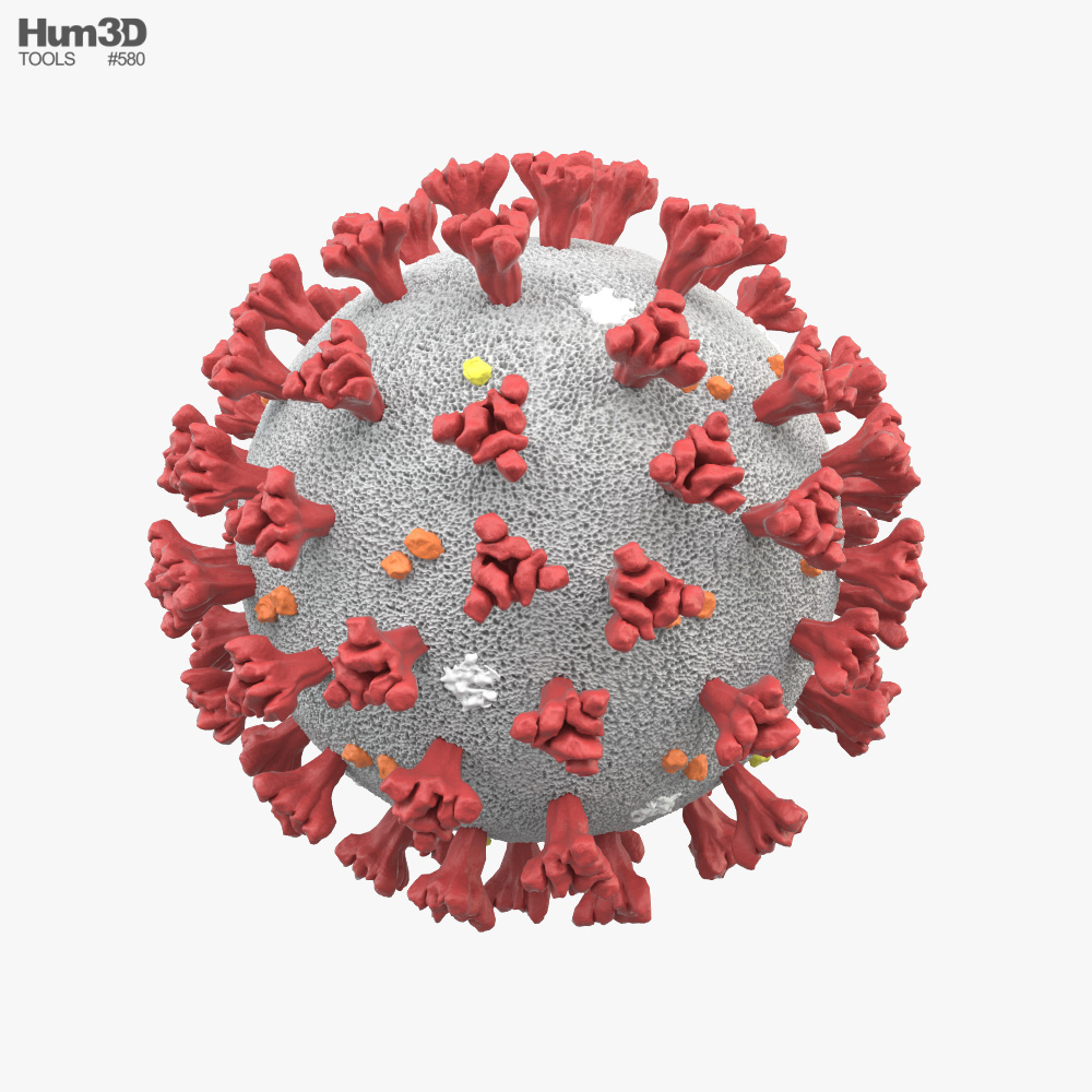 19 003. Covid-19. Covid 3d. 3d модель Covid. Covid 19 3d model.