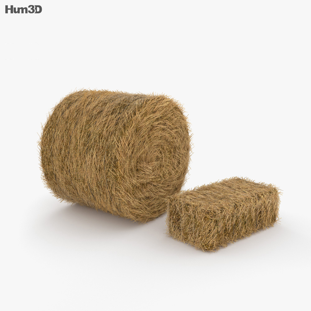 free 3d model hay blender model Hum3D 3D Bale  Hay  on Plants