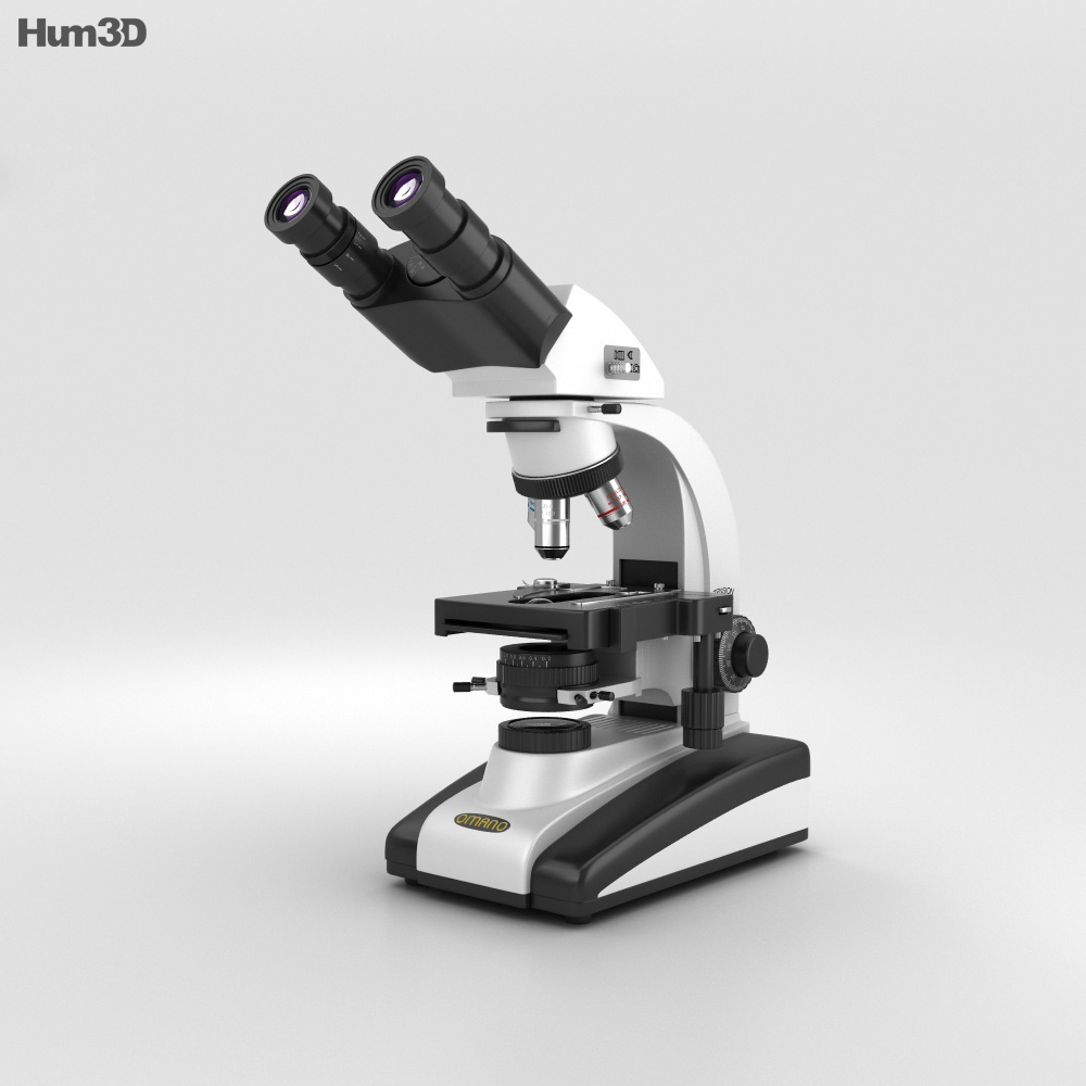 Microscope 3d Image Micropedia